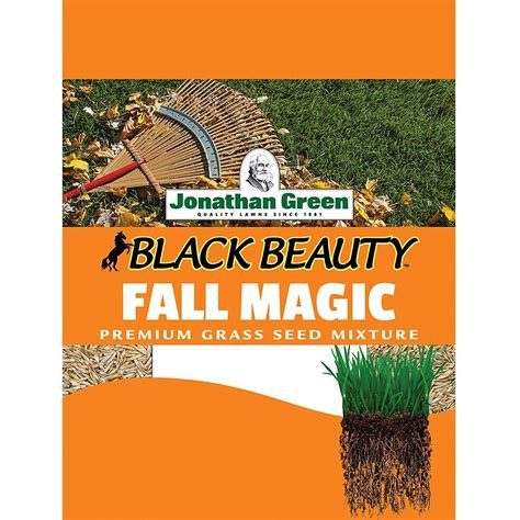 Fall magic grass seed